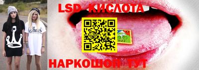 шишки Кинель