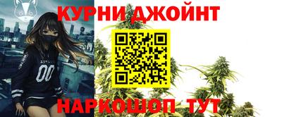 apvp Кингисепп