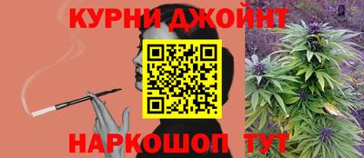 apvp Кингисепп