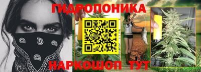 apvp Кингисепп